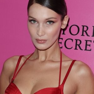 Bella Hadid Naked Celebrity Pic sexy 007 
