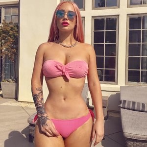 Iggy Azalea Bikini - Celeb Nudes
