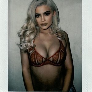Kylie Jenner See-Through Photos – Celeb Nudes