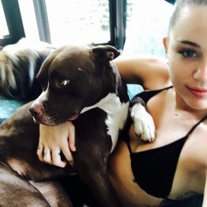 Miley Cyrus Sexy Photos – Celeb Nudes