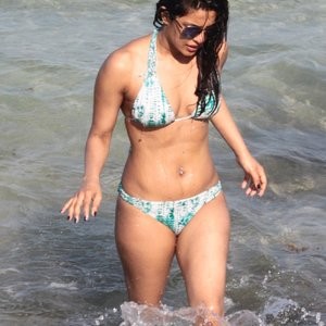Priyanka Chopra Celebs Naked sexy 013 