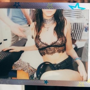 See-Through pics of Kendall Jenner - Celeb Nudes